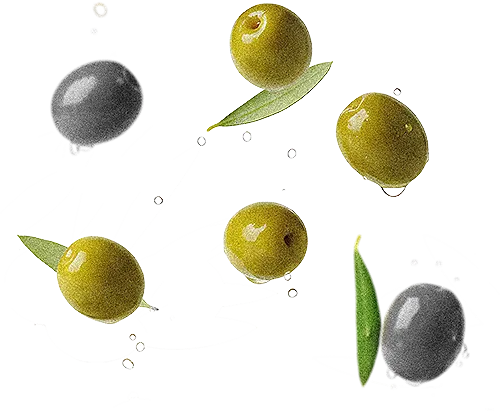 tenute-navarra-olive-float-500px